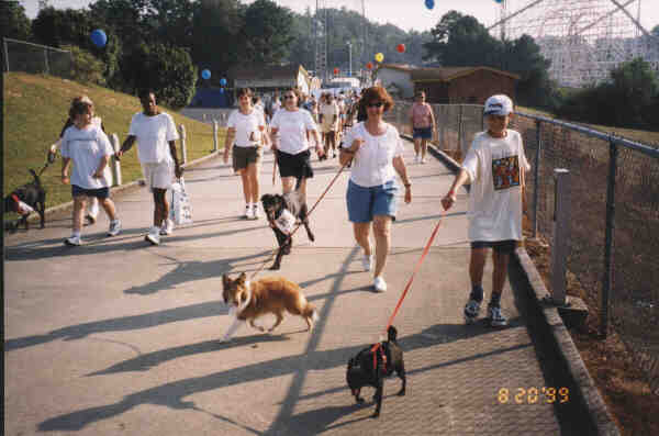 Parade2.JPG (24897 bytes)