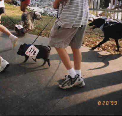 Parade3.JPG (15278 bytes)