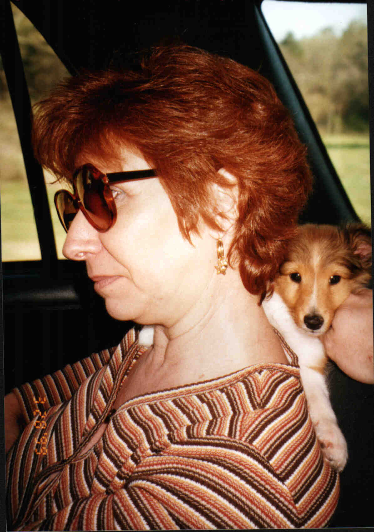 pepper1.JPG (142805 bytes)