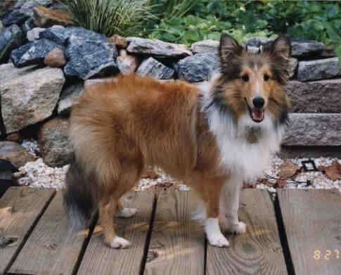 pepper82799.JPG (20537 bytes)